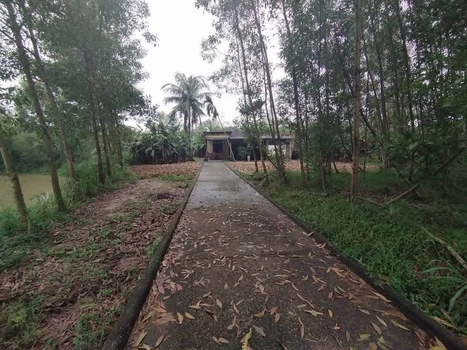 Đất Thái Thủy 2700m² giá thương lượng - Cơ hội đầu tư tuyệt vời!