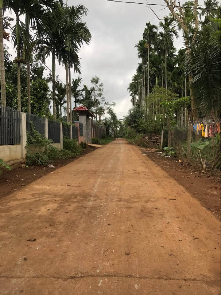 Đất nền Ea Tiêu 195m² giá 300 triệu - Đầu tư sinh lời hấp dẫn!