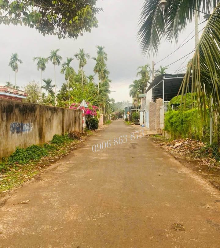 Đất nền Tân Lập 387m² giá 2.462 tỷ - Vị trí đẹp, đầu tư sinh lời!