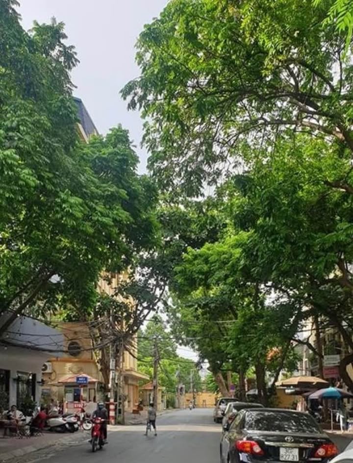Mặt phố Nguyễn Tri Phương, Ba Đình 95m² - Cơ hội đầu tư hiếm có!