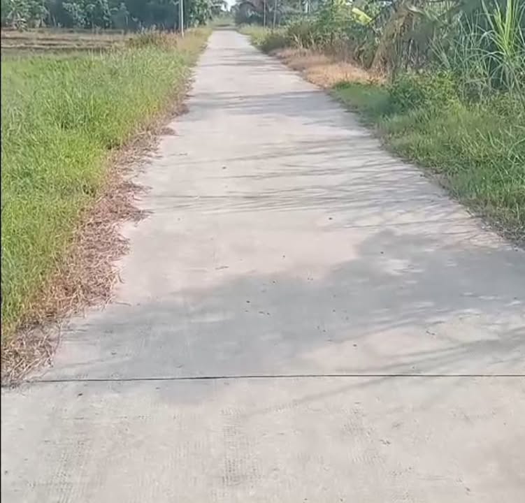 Đất nền An Bình Tây, Ba Tri 8000m² giá 2.2 tỷ - Cơ hội đầu tư hấp dẫn!