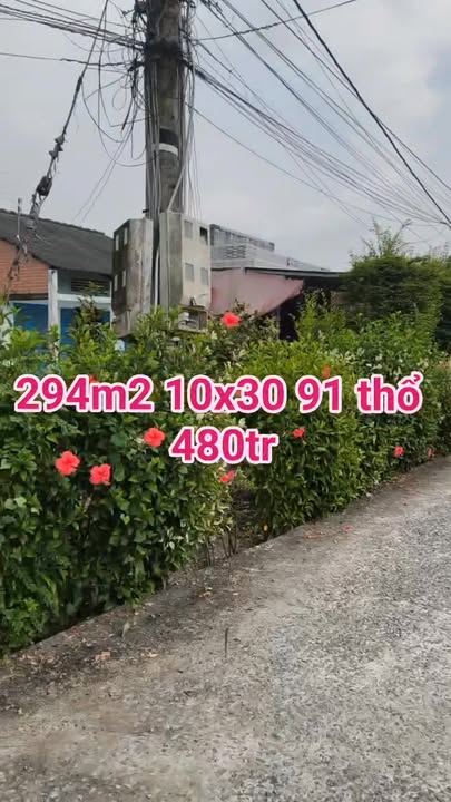Đất nền Bình Đông Gò Công Đông 300m² giá 480 triệu - Hẻm ô tô, sổ đỏ chính chủ!