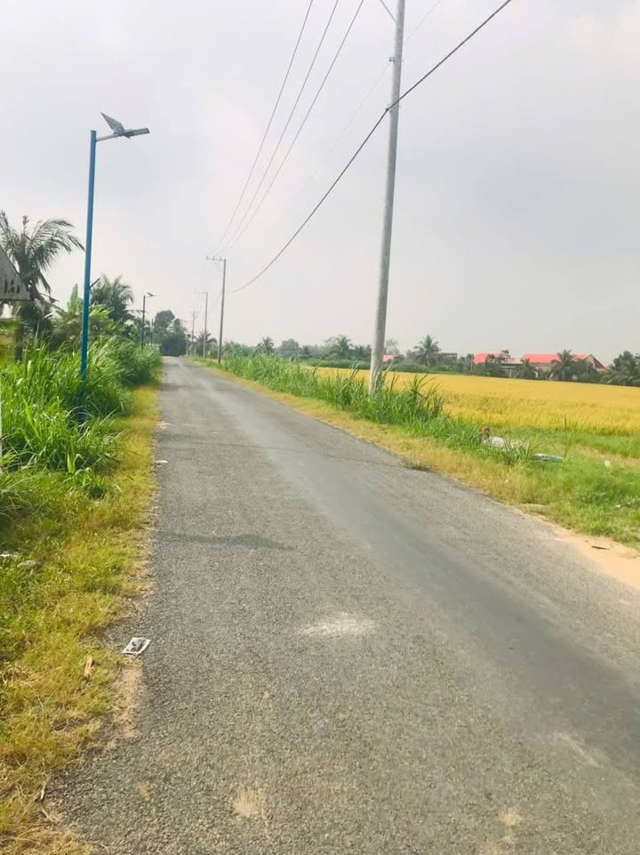 Đất nền 110m² tại Vĩnh Bình, Gò Công Tây chỉ 550 triệu - Sổ đỏ chính chủ!