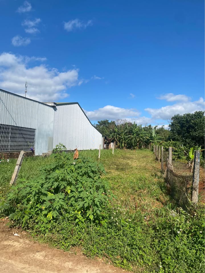 Đất nền Hẻm 396 Tôn Đức Thắng, xã Biển Hồ 200m² - Giá chỉ 1.05 tỷ!