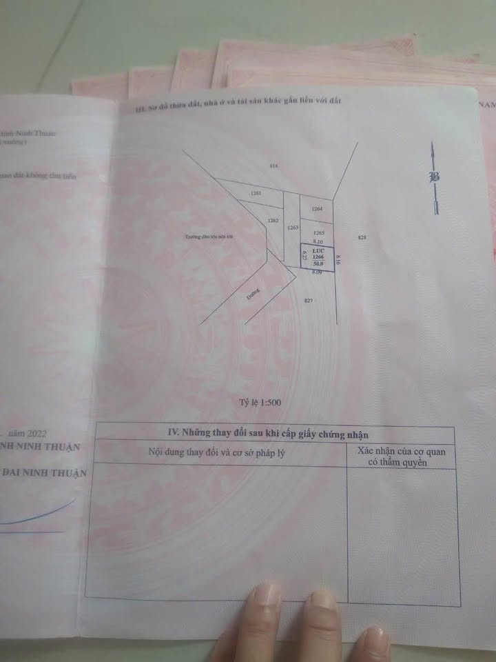 Đất nông nghiệp 370m² tại Phước Dân, Ninh Phước - Sổ tách riêng từng lô!