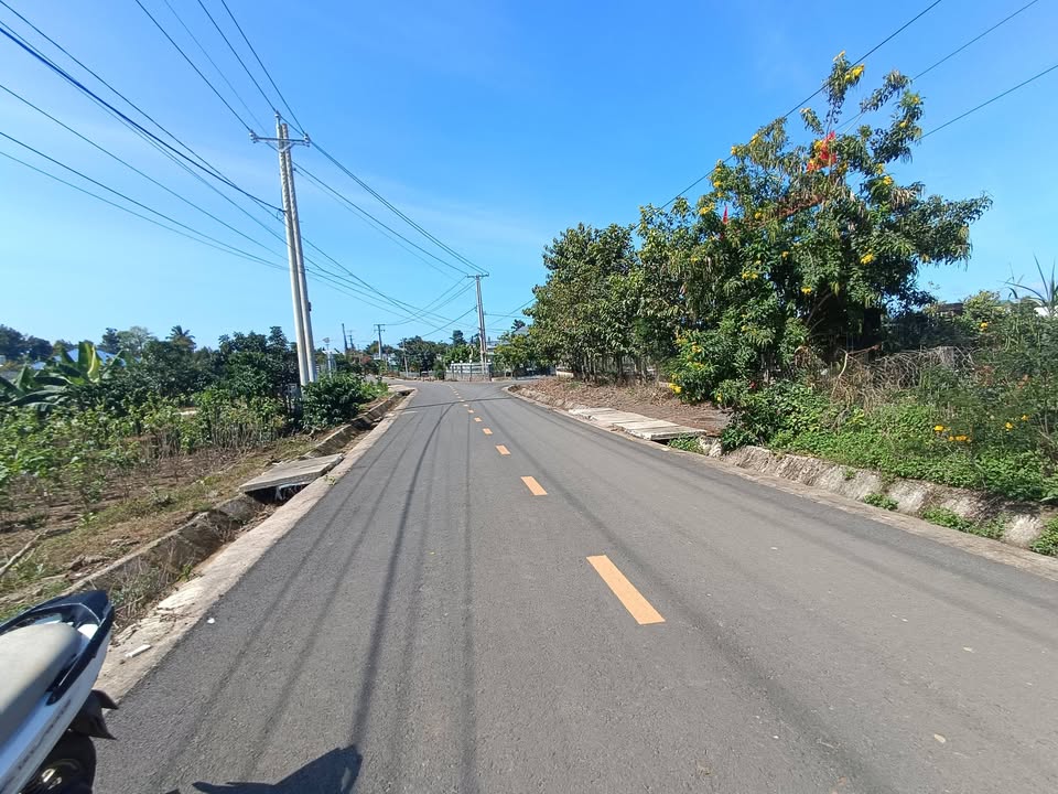 Đất 555m² tại 221 Đoàn Thị Điểm, Bảo Lộc - Giá chỉ 1.95 tỷ!