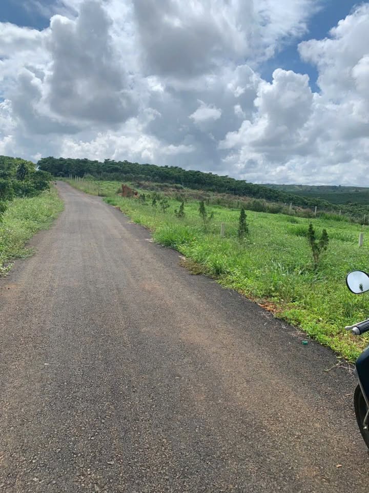 Đất nông nghiệp Bảo Lộc 585m² giá chỉ 1,2 tỷ - Chính chủ bán gấp!