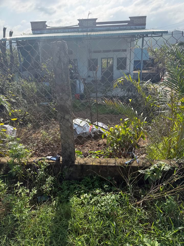 Đất thổ cư 840m² mặt tiền QL 19C xã Canh Vinh - Giá chỉ 1.344 tỷ!