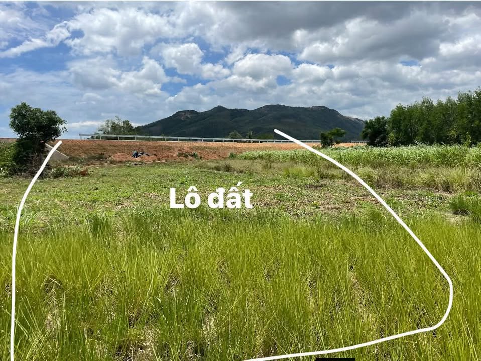 Đất vườn Phước Thành 600m² giá 200 triệu - Sổ đỏ chính chủ, đầu tư sinh lời!