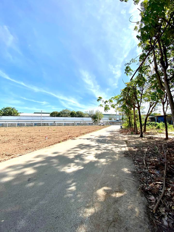 Đất nền Thanh An Dầu Tiếng 150m² giá 339 triệu - Đầu tư sinh lời ngay!