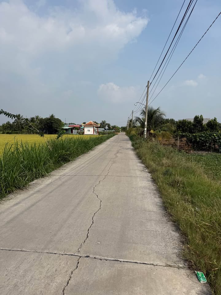 Đất lúa 1978m² tại Khánh Hậu, Tân An - Giá chỉ 2.3 tỷ, ô tô vào tận nơi!