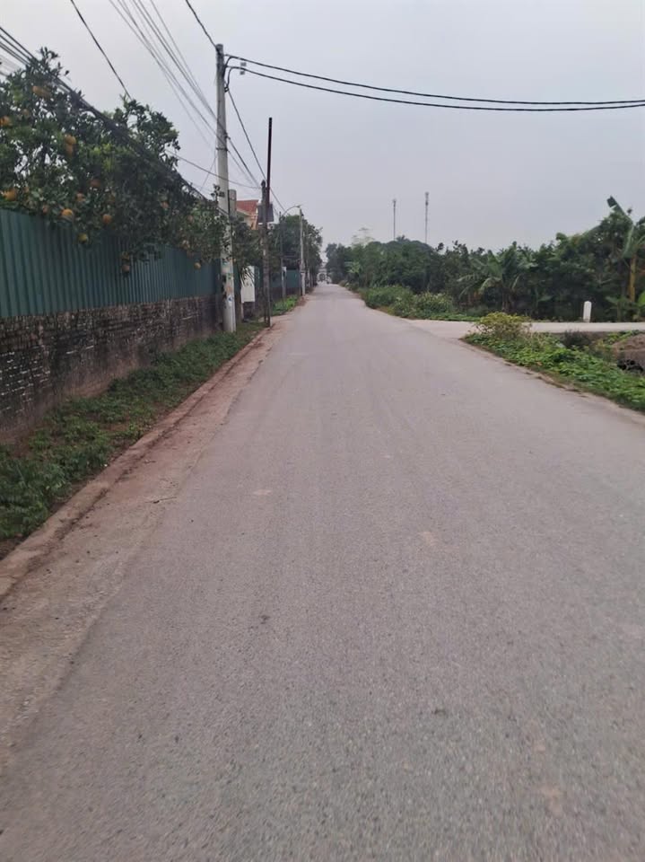 Đất nền Dạ Trạch, Khoái Châu 1329m² - Đầu tư dài hạn, sổ đỏ chính chủ!