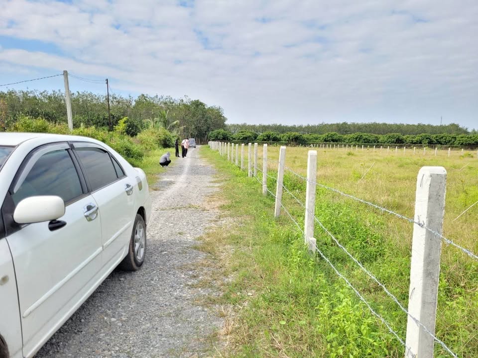 Đất thổ cư Cẩm An 167m² giá 250 triệu - Cơ hội đầu tư tuyệt vời!