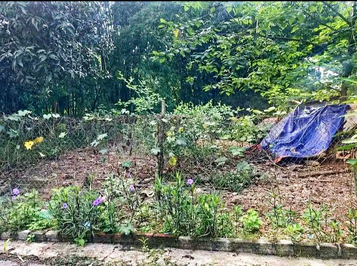 Đất thổ cư 150m² tại phường Thanh Minh, Điện Biên Phủ - Giá tốt, hướng Tây Bắc!