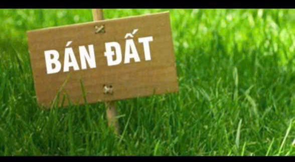 Đất ruộng 3500m² tại Vĩnh Phú, Kiên Giang - Giá chỉ 115 triệu!