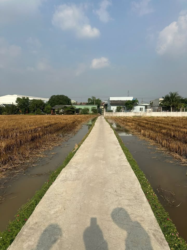 Đất nền 2.500m² Bình Lãng, Tân Trụ chỉ 1.7 tỷ - Sổ đỏ chính chủ, thuận tiện di chuyển!