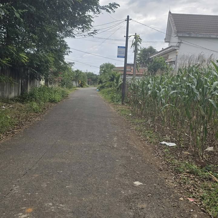 Đất nền đẹp Ea Kao 240m² giá 1.25 tỷ - Vị trí đắc địa, bớt lộc!