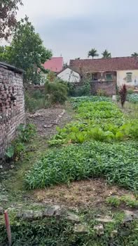 Đất nền 101m² tại Trung Chính, Lương Tài - Giá thỏa thuận, vị trí đẹp!