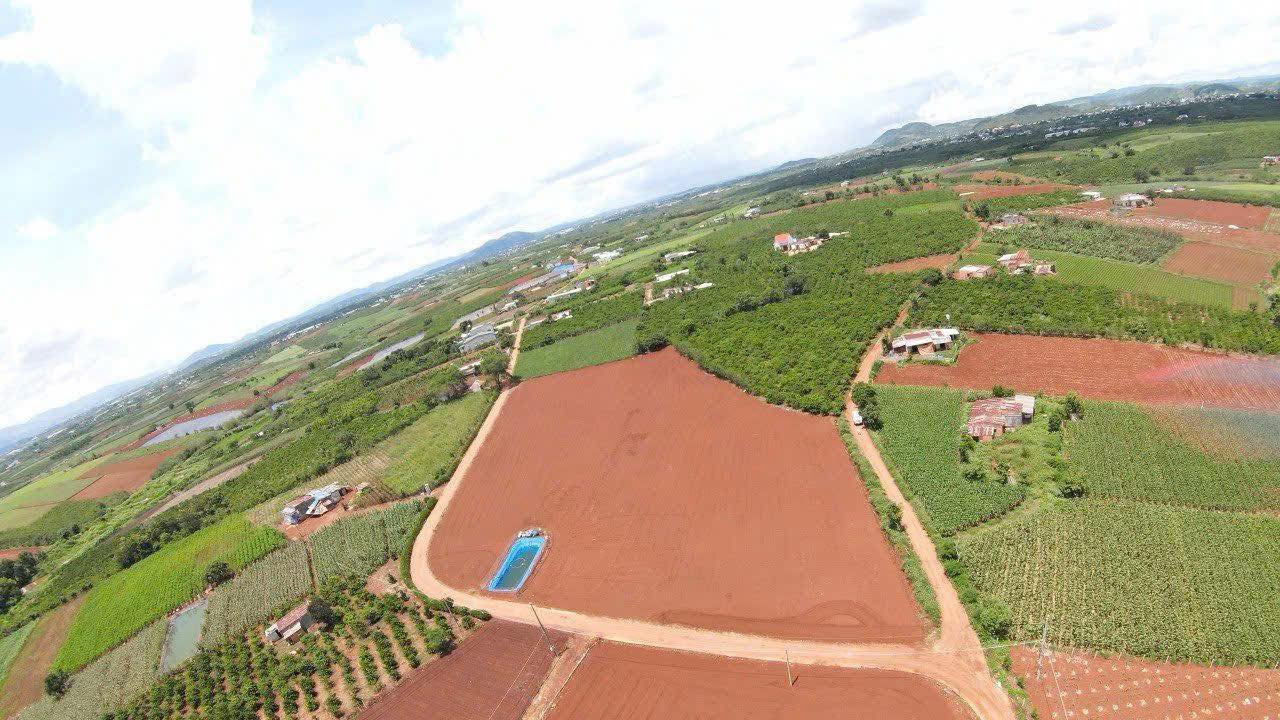 Đất thổ cư 300m² 10142m² tại Tân Hội, Lâm Đồng - Giá tốt cho nhà đầu tư!