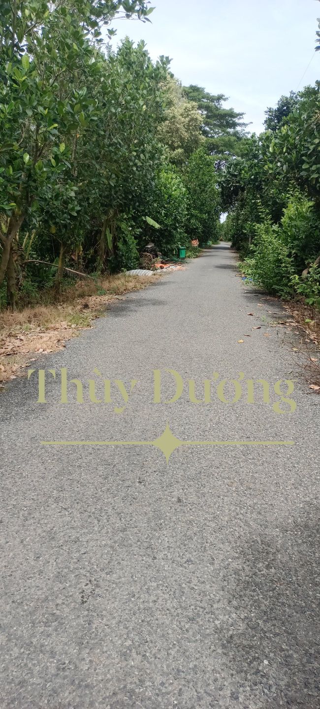 Đất nền Đốc Binh Kiều 300m² giá 700 triệu - Sổ hồng chính chủ, vị trí đẹp!