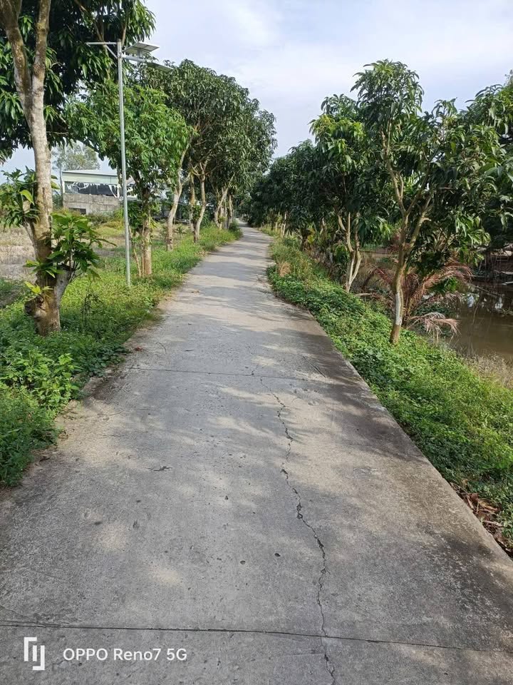 Đất vườn Mỹ Ngãi, Đồng Tháp 2.270m² - Vị trí thuận lợi, giá thương lượng!