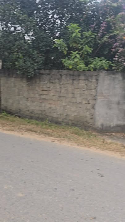 Đất vườn Hương Sơn Bình Xuyên 5000m² giá chỉ 5 tỷ - Tặng nhà cấp 4!