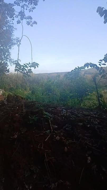 Đất nền Thống Nhất Bù Đăng 33,000m² giá 4 tỷ - Vị trí đắc địa, đầu tư sinh lời!