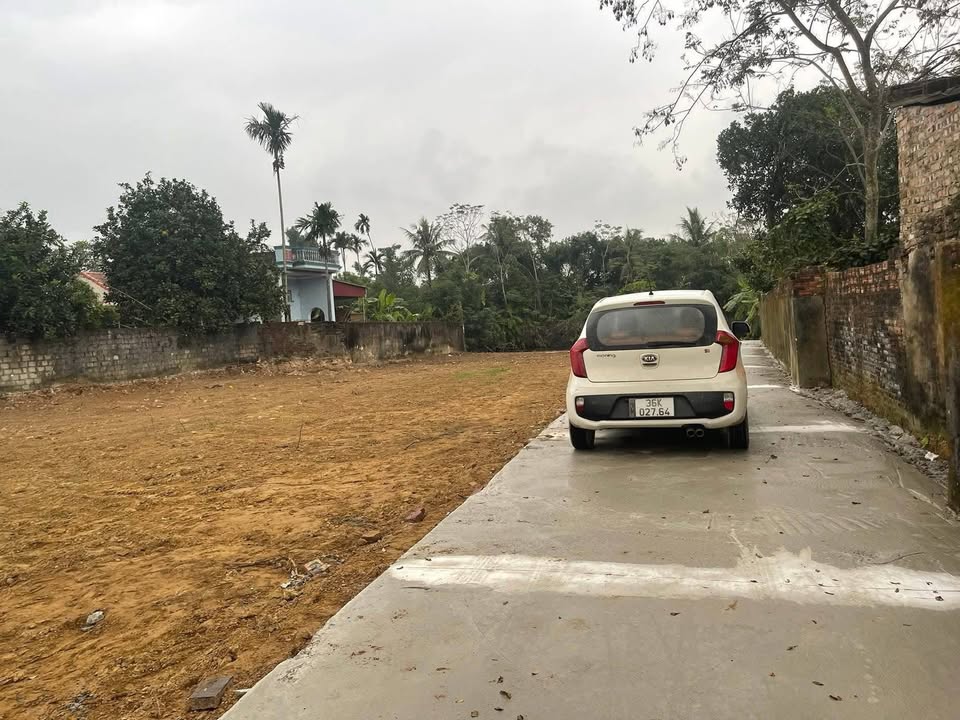 Đất thổ cư Hoằng Đạo, 133m² giá chỉ 500 triệu - Cơ hội đầu tư tuyệt vời!