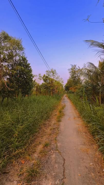 Đất nền Gò Công Đông 1000m² giá 800 triệu - Sẵn sàng xây dựng ngay!