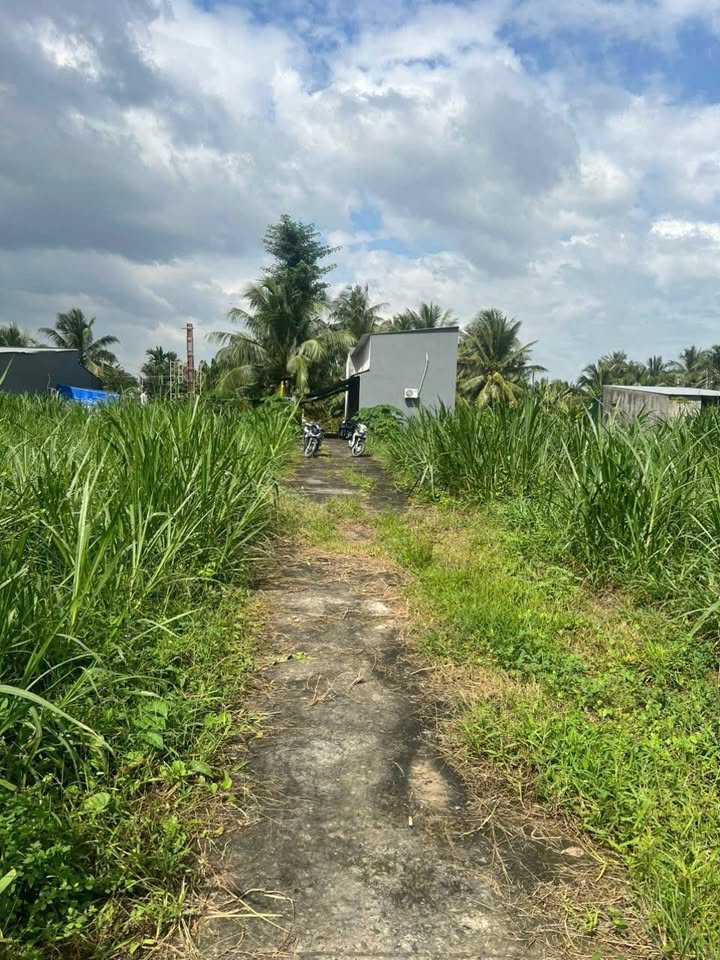 Đất nền Hữu Định, Châu Thành 506m² giá 650 triệu - Đường xe ô tô vào tận nơi!