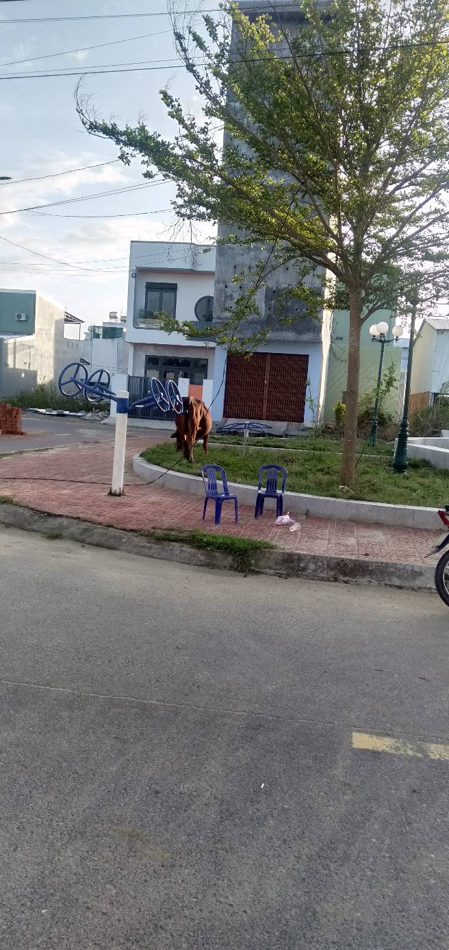 Đất nền Phước Hòa Tuy Phước 100m² giá 800 triệu - Cơ hội đầu tư tuyệt vời!