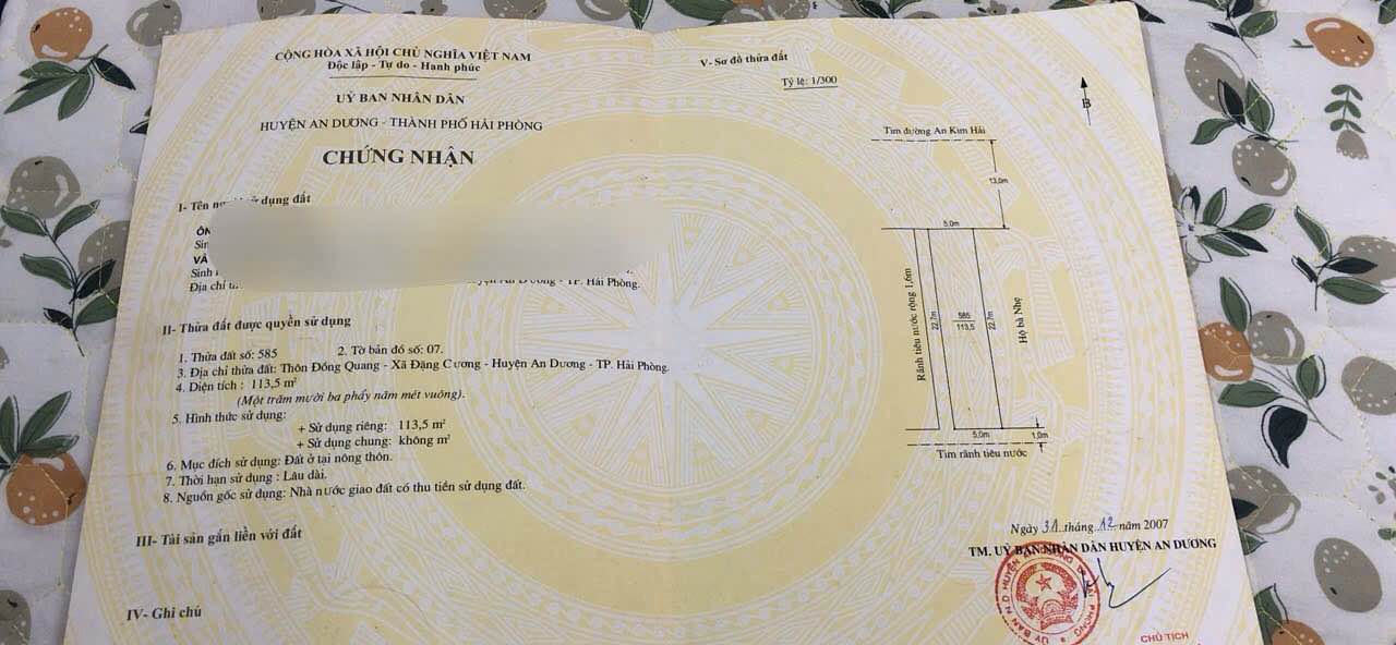 Đất nền Đặng Cương, Hải Phòng 113m² giá 3 tỷ - Đầu tư sinh lời ngay!