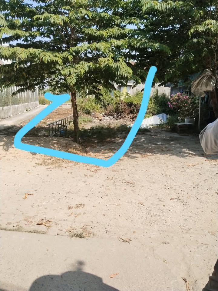 Đất nền Hòa Hương Tam Kỳ 115m² giá 890 triệu - Sổ đỏ chính chủ, tiện ích đầy đủ!