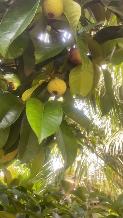 Đất nền Bình Lộc Long Khánh 1100m² giá 3.3 tỷ - Đầu tư sinh lời ngay!