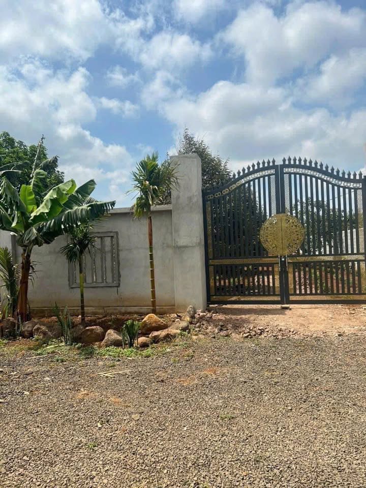 Đất nền Tân An, Buôn Ma Thuột 1200m² giá 2.5 tỷ - Quy hoạch 2 mặt tiền, sẵn sàng đầu tư!