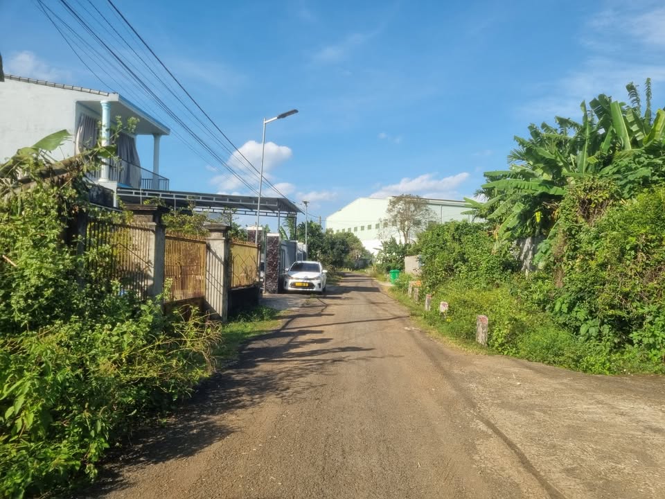 Đất mặt đường nhựa Tân Hưng, Ea Kao, 180m² giá 1.35 tỷ - Cơ hội đầu tư tuyệt vời!