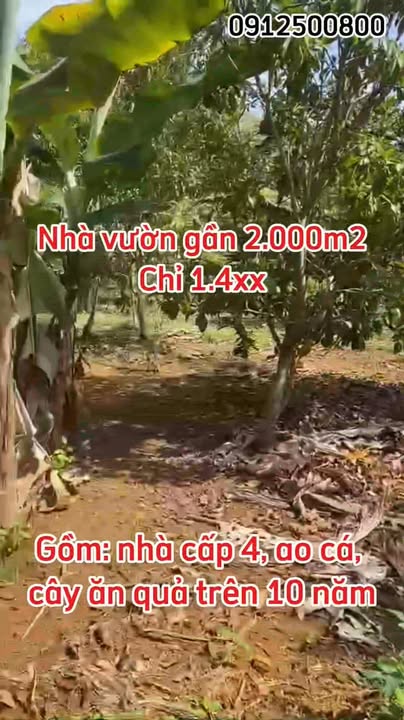 Nhà vườn Nghĩa Lộ 2000m² giá 1.4 tỷ - Không thể bỏ lỡ!