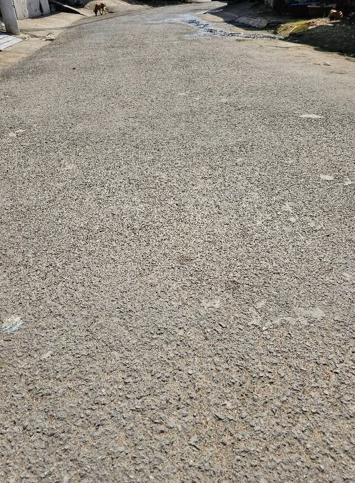 Đất nền thổ cư 160m² tại Đặng Thúc Vịnh, Hóc Môn - Giá chỉ 5.65 tỷ VND!