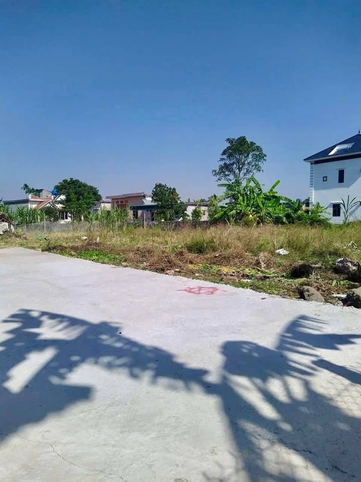 Đất phân lô Nam Hà - Tiền Hải 100m² chỉ 300 triệu - Đường ô tô vào tận nơi!