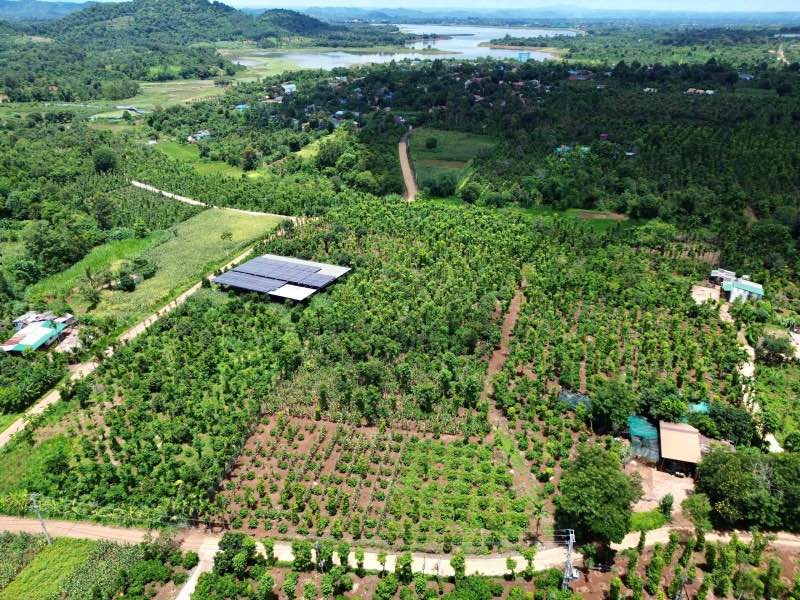 Đất 1.7 Sào Ea Tiêu, Cư Kuin Giá 1.2 Tỷ - Pháp Lý Rõ Ràng, Tiềm Năng Cao!