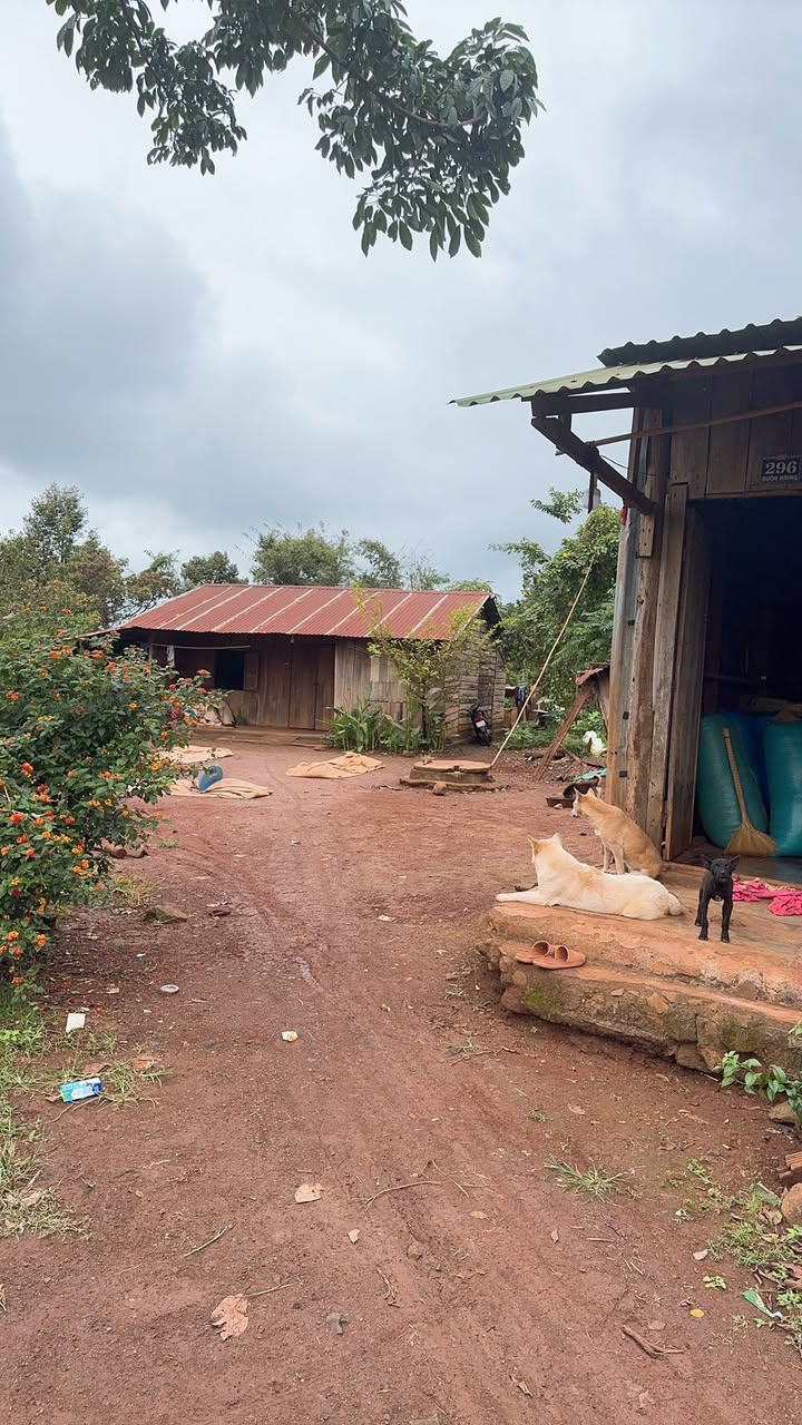 Đất nền Cư M'gar 170m² giá chỉ 100 triệu - Cơ hội đầu tư hấp dẫn!