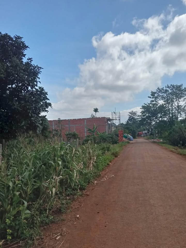 Đất nền mặt tiền đường Mai Xuân Thưởng 200m² giá 849 triệu - Cơ hội đầu tư hấp dẫn!