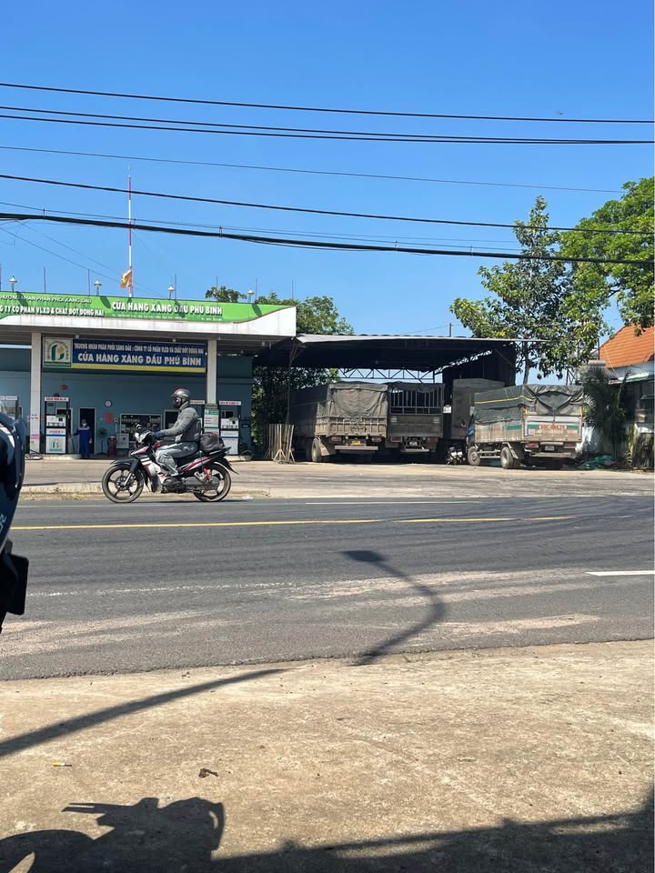 Đất nền Phú Lâm Tân Phú 500m² giá 500 triệu - Đầu tư sinh lời!