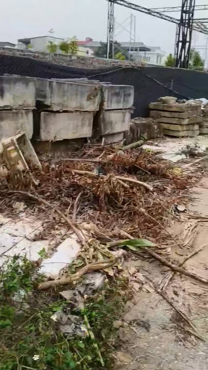 Đất nền 100m² tại phường Hội Hợp, Vĩnh Yên - Giá chỉ 2.05 tỷ!