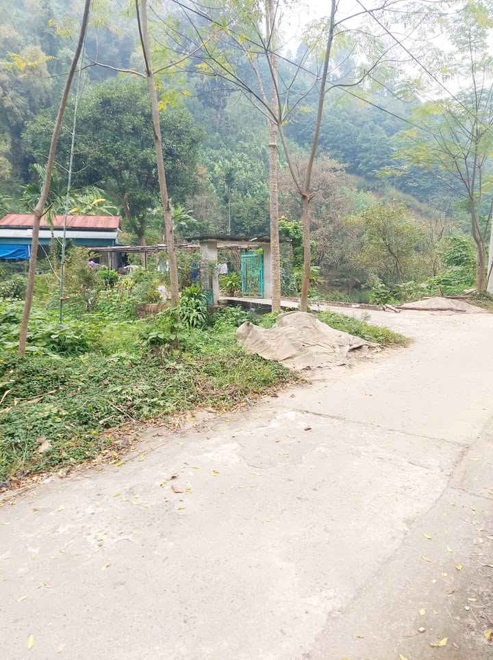 Đất nền Cam Đường Lào Cai 2960m² - Giá chỉ 960 triệu - Đầu tư sinh lời cao!