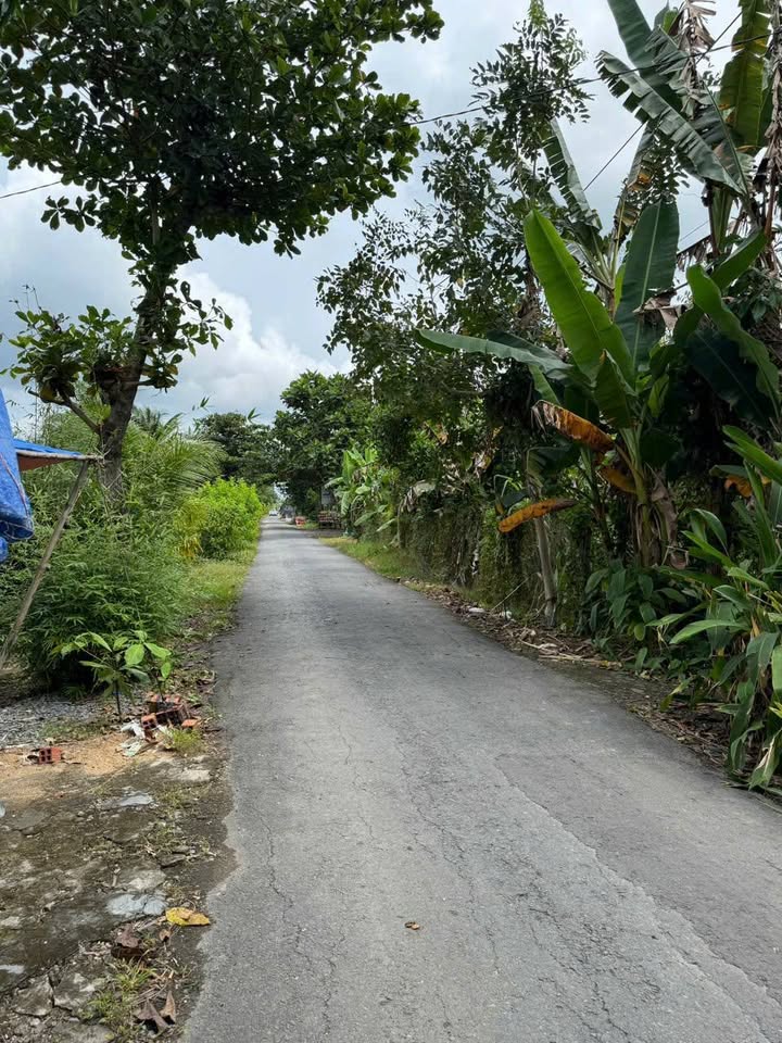 Đất nền ấp Phú Thuận, Cai Lậy, 370m² - Mặt tiền kênh, giá tốt!