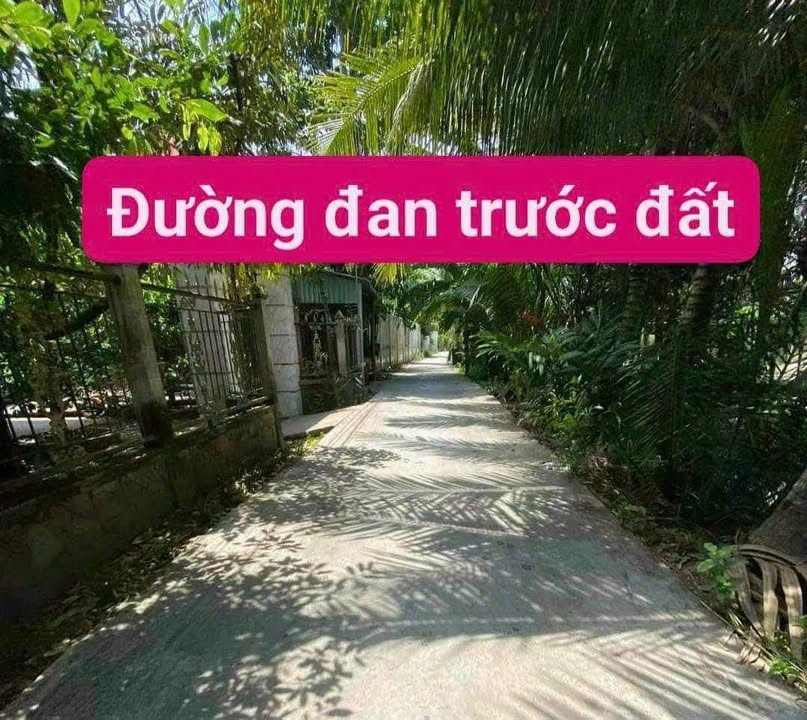 Đất nền 100m² ấp 2, xã Cẩm Sơn, Cai Lậy - Giá 450 triệu, thương lượng ngay!