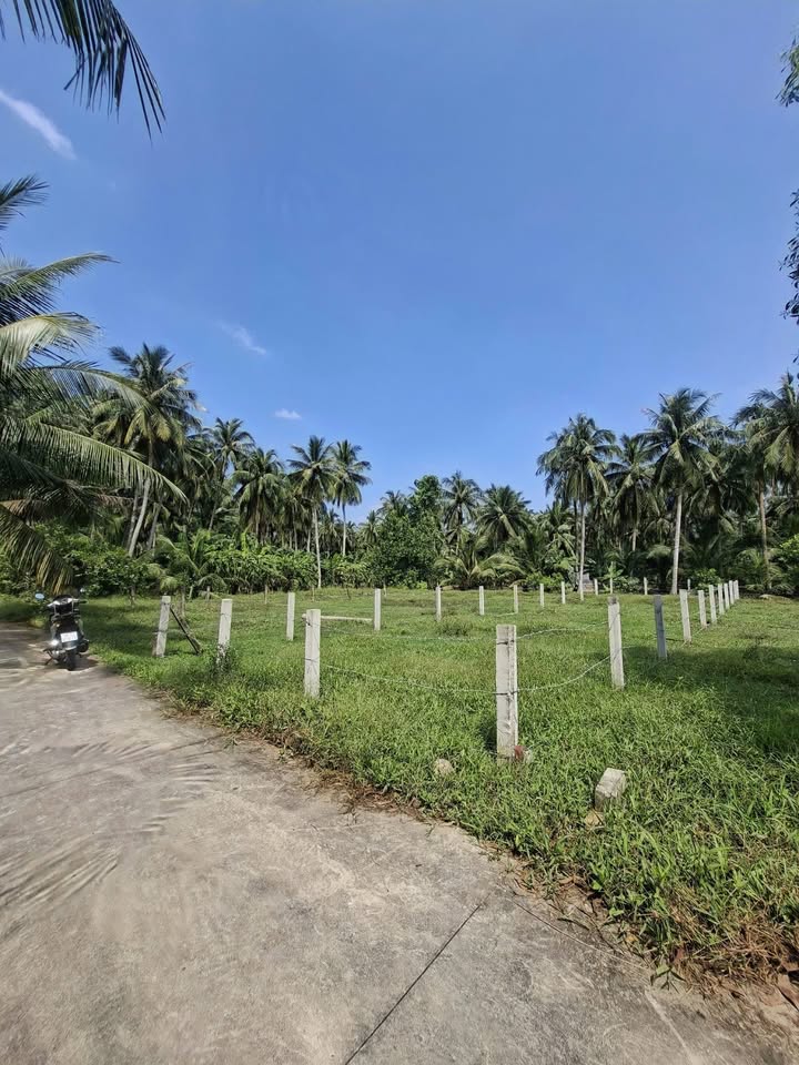 Đất nền chính chủ Vĩnh Hựu 252m² giá 355 triệu - Đường ô tô vào tận nơi!