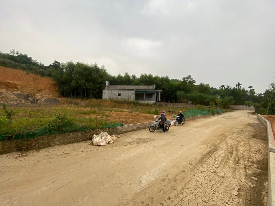 Đất thổ cư 50m² Hiền Lương, Hạ Hòa, Phú Thọ giá chỉ 400 triệu - Đường bê tông vào tận nơi!