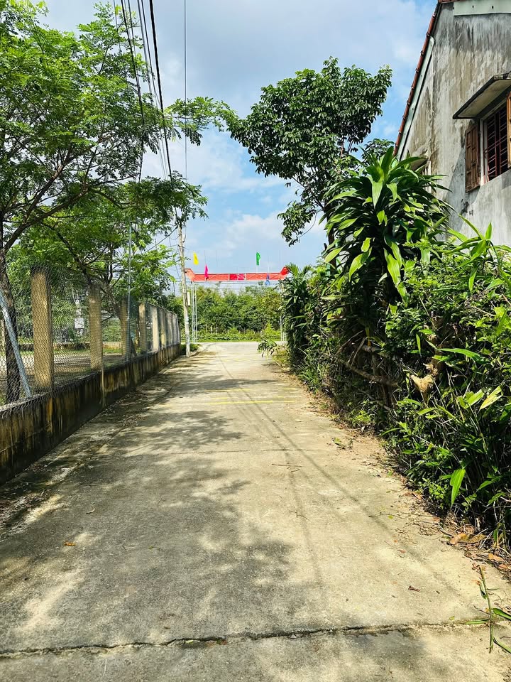 Đất nền An Phú, Tam Kỳ 210m² giá 700 triệu - Cơ hội đầu tư hấp dẫn!